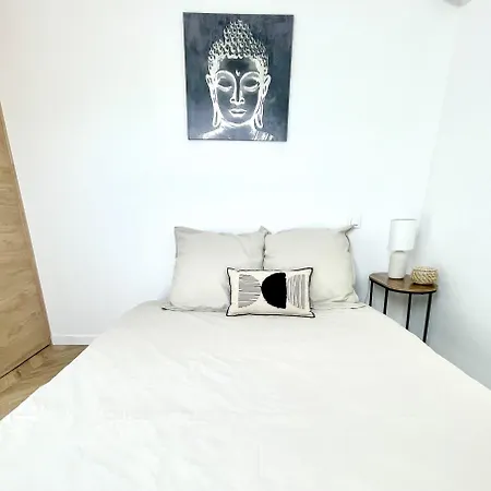 Climatise-centre Ville-gare Apartment Reims